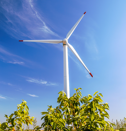 Wind Mill